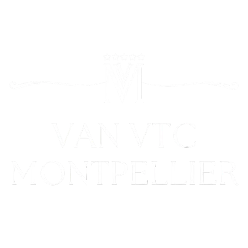 logo site van vtc montpellier my driver services